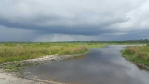 guana river