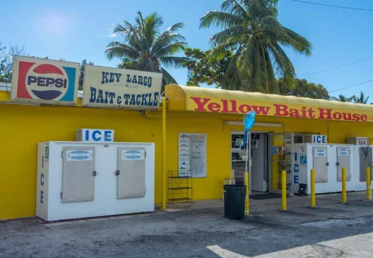 yellow bait house 768x532